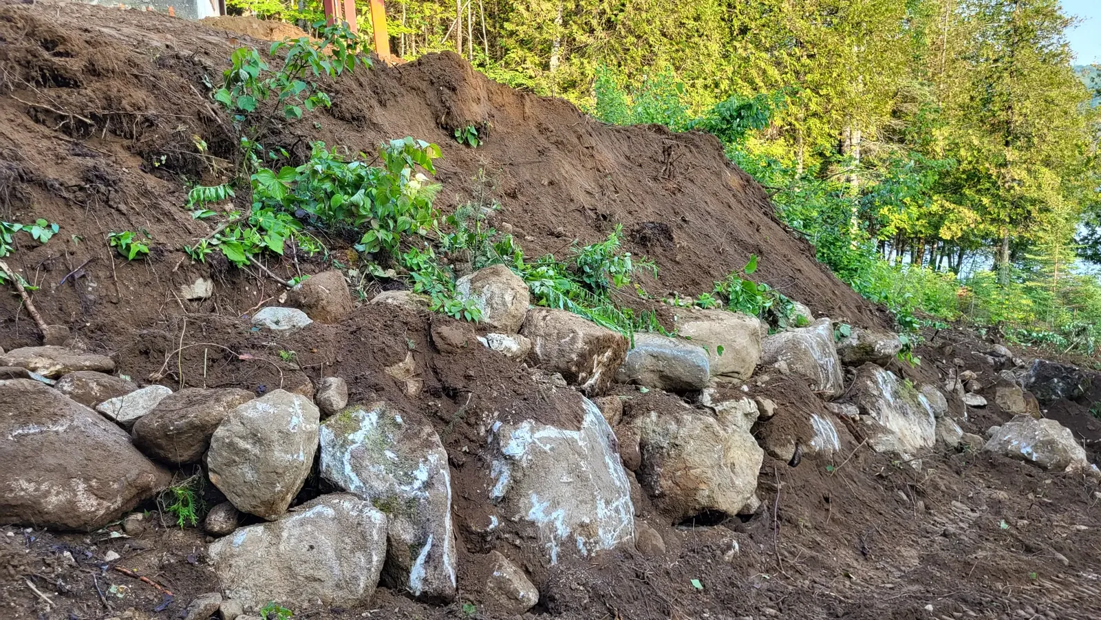 Large rocks embedded in a dirt hillside surrounded by forest.